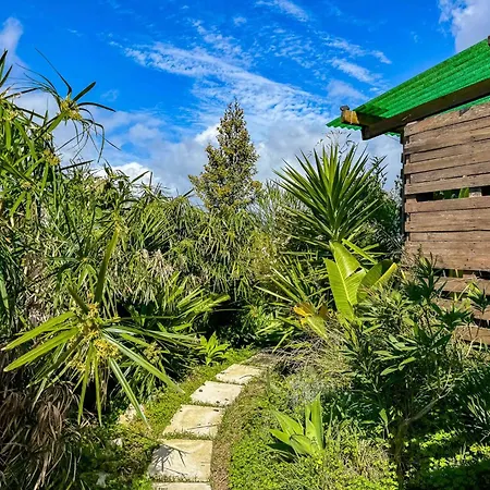 Villa Nature Retreat - Eko House